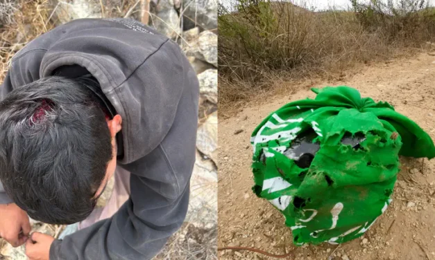 Arab olive harvesters injure Israeli, attempt to steal weapon