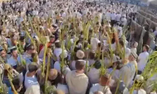 Watch: Hoshana Rabba prayers at the Western Wall