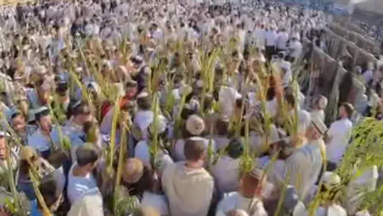Watch: Hoshana Rabba prayers at the Western Wall