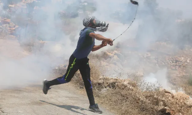 Settler boy profiled at the U.N.