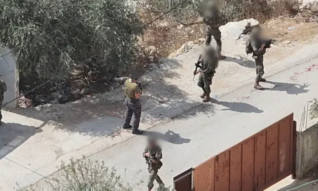Attempted abduction of Israeli in Samaria
