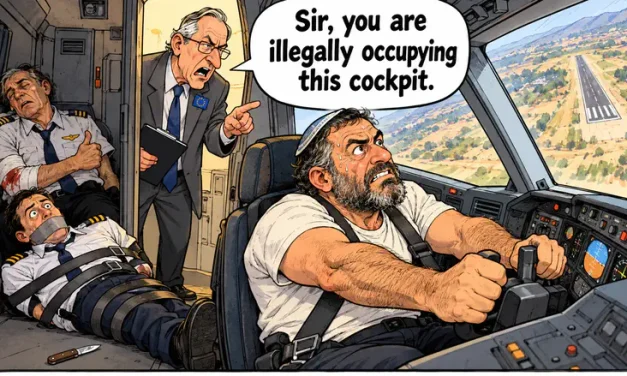 EU condemns Israeli for illegally occupying cockpit of plane