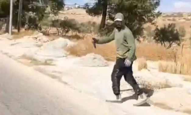 ‘He has a knife:’ Footage from Binyamin terror attack & pursuit of terrorist
