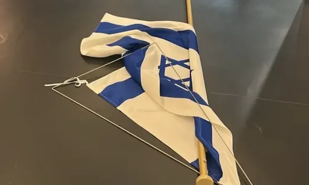 MEP Rima Hassan removes Israeli flag from October 7 memorial in European Parliament