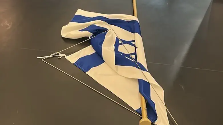 MEP Rima Hassan removes Israeli flag from October 7 memorial in European Parliament