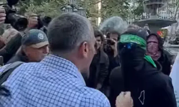 ‘What are you afraid of?’ Man rips mask off protester’s face in New York