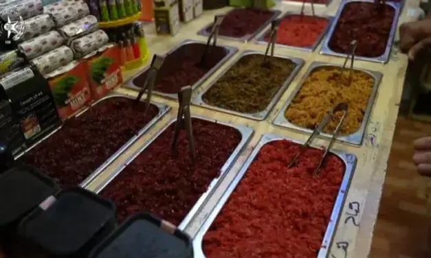 ‘Danger to the public’: Police raid hookah tobacco stores