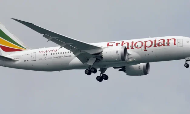 Indonesian pilot identified en route to Israel: Cargo plane forced to return to Ethiopia