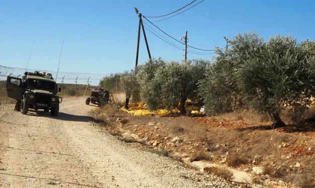 Binyamin Council challenges claims of settler violence against journalist