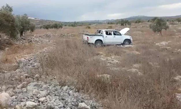 Jewish shepherd rammed by Palestinian Arab