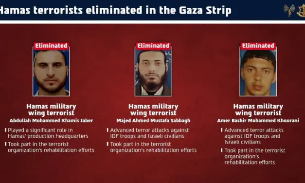 IDF eliminates three Hamas terrorists in Gaza strikes