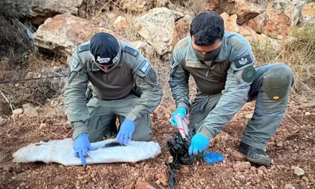 How Israel’s strategic hesitation in Judea and Samaria undermines security