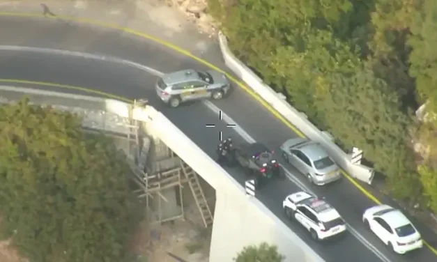 Watch: Helicopter catches dangerous driver in northern Israel