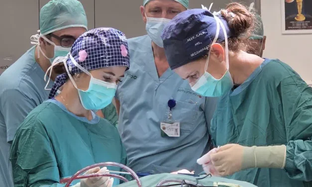 First in Israel: New brain pacemaker treats epilepsy without opening the skull