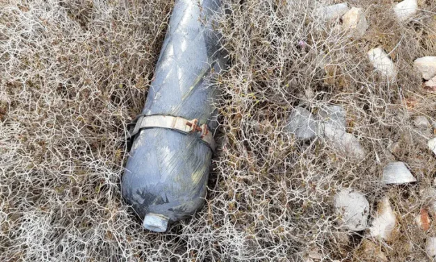 Kedumim: 9-year-old spots suspicious object in Samaria, prevents disaster