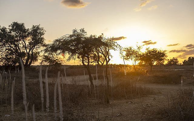 Adele Raemer | The Stories We Carry Home