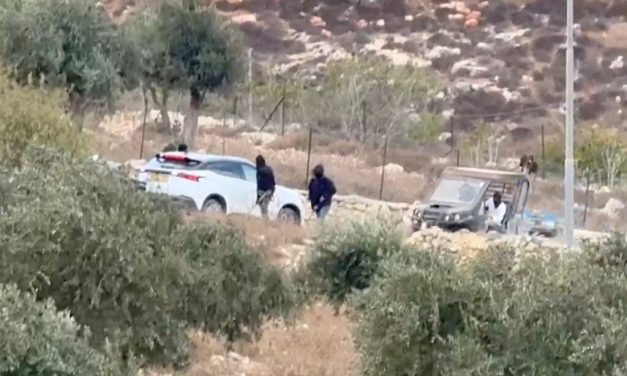 EU demands ‘full accountability’ after settler attack on diplomats in West Bank