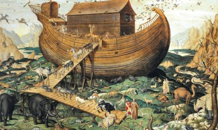 Your Investments: Building your Ark before retirement’s storm