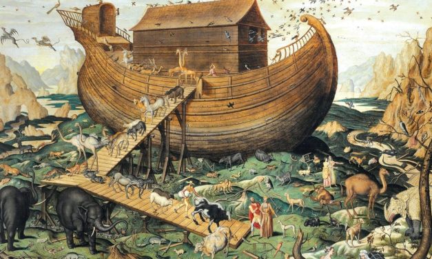 Your Investments: Building your Ark before retirement’s storm