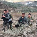 Israel’s olive harvest policy leaves Palestinian farmers shut out – opinion