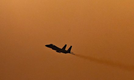 Dozens of IAF jets, refueling aircraft flew ‘as far as Iran border’ in practice sortie – report