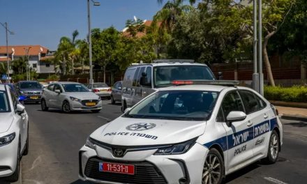 School security guard’s weapon stolen, Israel Police launch manhunt for culprit