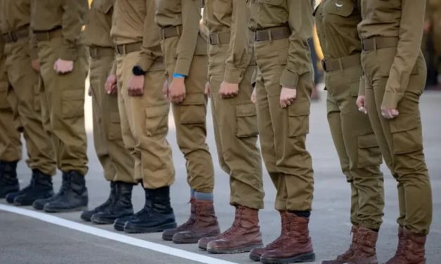Some came to Israel to serve the Jewish state. Haredim are rewarded for refusing to help – opinion