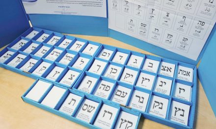 Election Day 2026 is a day for democracy and a chance for unity – editorial