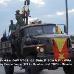 Ethiopian government retakes capital of Tigray region as fight against rebels continues