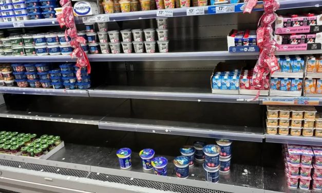 No cottage cheese or white cheese on shelves four days after production stoppage