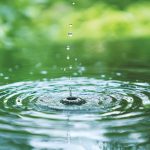 Parashat Bereishit: The world of water