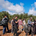 Israel Katz orders administrative removal of left-wing activists ahead of West Bank olive harvest