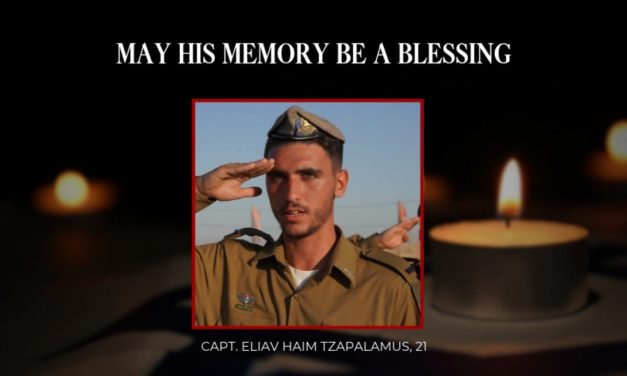 IDF officer killed in southern Lebanon, three others injured during operation