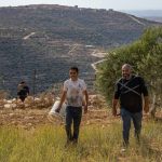 IDF completes preparations for West Bank olive harvest, as nationalist violence, clashes expected
