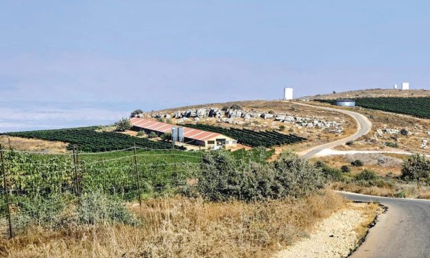 Planting hope in Samaria: A journey through vineyards, springs, and ancient history