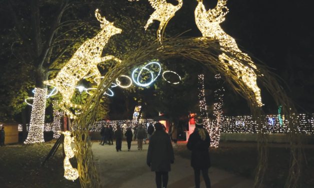 LUMAGICA light festival returns to Tel Aviv’s Hayarkon Park after 160,000 visitors in first edition