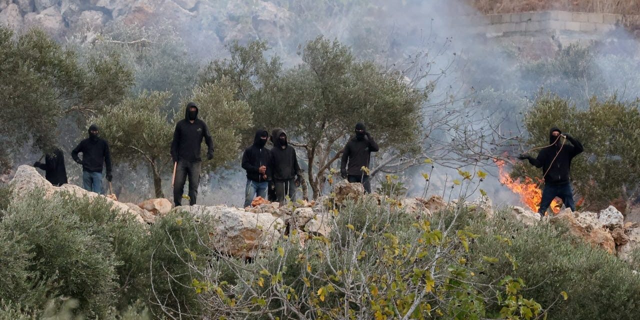 Violence, theft during olive harvest must be publicly, explicitly condemned – editorial