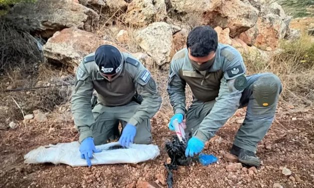 Weapons, millions of shekels in drugs seized by police in major blow to Abu Latif syndicate