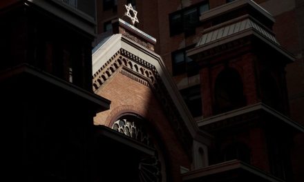 America provided safe refuge to some who now seek to dismantle it from within – opinion