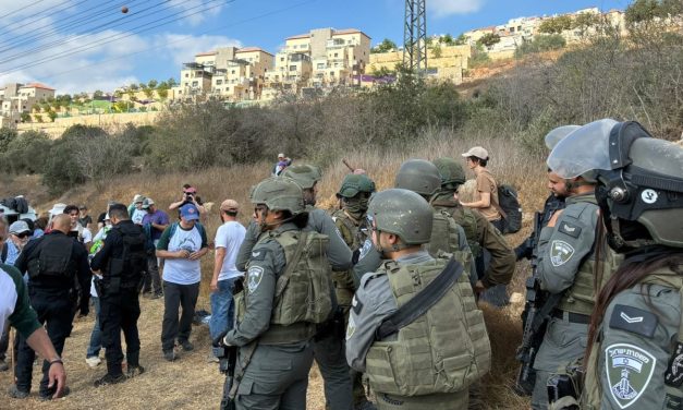 WATCH: IDF detains 90 West Bank olive harvest volunteers, including US congressional nominee Lander