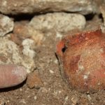 Ancient wildfires in the Levant may have inspired Neolithic pottery-making, Israeli study suggests