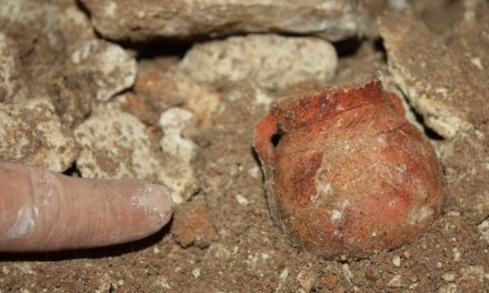 Ancient wildfires in the Levant may have inspired Neolithic pottery-making, Israeli study suggests