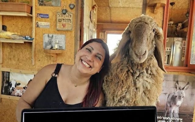 Sharon Cohen | When animals save people