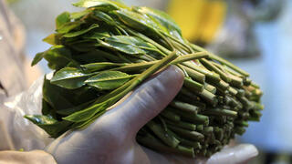 Two Israeli women accused of smuggling 100 kg of khat released on bail in Poland