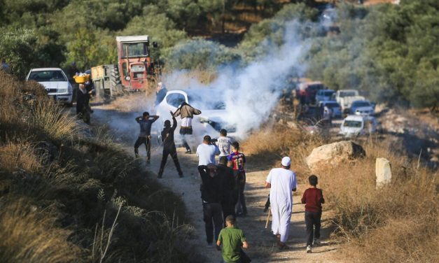 European diplomats attacked amid settler raids on West Bank olive harvest