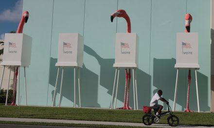 In this Florida district, politicians battle over who most loves Israel