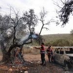 Israeli police arrest suspects in Washington Post journalist attack