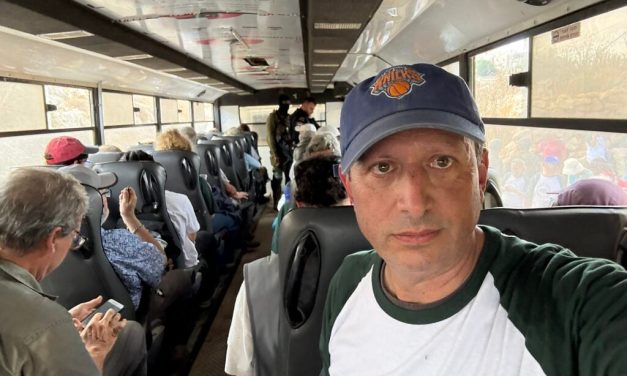 Jewish US congressional candidate briefly detained while joining Palestinian olive harvest