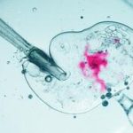 Another IVF scandal in Israel: Father says son was conceived using another man’s sperm