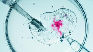 Another IVF scandal in Israel: Father says son was conceived using another man’s sperm